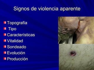 Signos ddee vviioolleenncciiaa aappaarreennttee 
TTooppooggrraaffííaa 
TTiippoo 
CCaarraacctteerrííssttiiccaass 
VViittaalliiddaadd 
SSoonnddeeaaddoo 
EEvvoolluucciióónn 
PPrroodduucccciióónn 
 