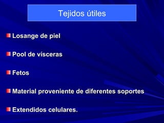 Tejidos útiles 
LLoossaannggee ddee ppiieell 
PPooooll ddee vvíísscceerraass 
FFeettooss 
MMaatteerriiaall pprroovveenniieennttee ddee ddiiffeerreenntteess ssooppoorrtteess 
EExxtteennddiiddooss cceelluullaarreess.. 
 