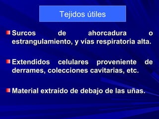 Tejidos útiles 
Surcos ddee aahhoorrccaadduurraa oo 
eessttrraanngguullaammiieennttoo,, yy vvííaass rreessppiirraattoorriiaa aallttaa.. 
EExxtteennddiiddooss cceelluullaarreess pprroovveenniieennttee ddee 
ddeerrrraammeess,, ccoolleecccciioonneess ccaavviittaarriiaass,, eettcc.. 
MMaatteerriiaall eexxttrraaííddoo ddee ddeebbaajjoo ddee llaass uuññaass.. 
 