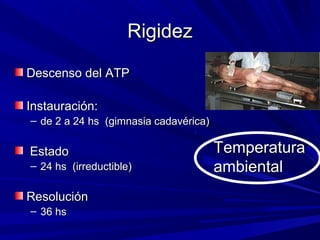 RRiiggiiddeezz 
DDeesscceennssoo ddeell AATTPP 
IInnssttaauurraacciióónn:: 
– ddee 22 aa 2244 hhss ((ggiimmnnaassiiaa ccaaddaavvéérriiccaa)) 
EEssttaaddoo 
– 2244 hhss ((iirrrreedduuccttiibbllee)) 
RReessoolluucciióónn 
– 3366 hhss 
TTeemmppeerraattuurraa 
aammbbiieennttaall 
 