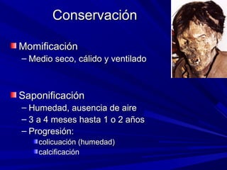 CCoonnsseerrvvaacciióónn 
MMoommiiffiiccaacciióónn 
– MMeeddiioo sseeccoo,, ccáálliiddoo yy vveennttiillaaddoo 
SSaappoonniiffiiccaacciióónn 
– HHuummeeddaadd,, aauusseenncciiaa ddee aaiirree 
– 33 aa 44 mmeesseess hhaassttaa 11 oo 22 aaññooss 
– PPrrooggrreessiióónn:: 
ccoolliiccuuaacciióónn ((hhuummeeddaadd)) 
ccaallcciiffiiccaacciióónn 
 