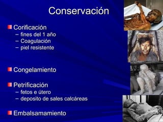 CCoonnsseerrvvaacciióónn 
CCoorriiffiiccaacciióónn 
– ffiinneess ddeell 11 aaññoo 
– CCooaagguullaacciióónn 
– ppiieell rreessiisstteennttee 
CCoonnggeellaammiieennttoo 
PPeettrriiffiiccaacciióónn 
– ffeettooss ee úútteerroo 
– ddeeppoossiittoo ddee ssaalleess ccaallccáárreeaass 
EEmmbbaallssaammaammiieennttoo 
 