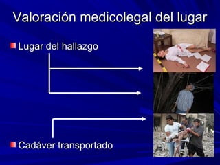 VVaalloorraacciióónn mmeeddiiccoolleeggaall ddeell lluuggaarr 
LLuuggaarr ddeell hhaallllaazzggoo 
CCaaddáávveerr ttrraannssppoorrttaaddoo 
 