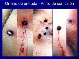 OOrriiffiicciioo ddee eennttrraaddaa -- AAnniilllloo ddee ccoonnttuussiióónn 
 