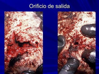 OOrriiffiicciioo ddee ssaalliiddaa 
 