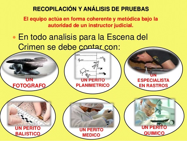 Escena del crimen