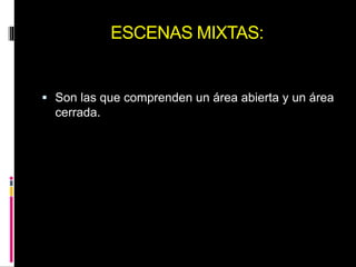 ESCENAS MIXTAS:
 Son las que comprenden un área abierta y un área
cerrada.
 