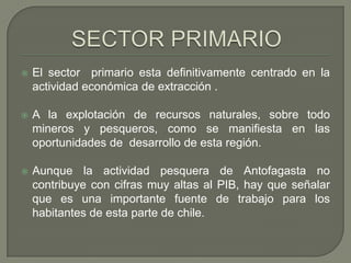 SECTOR PRIMARIOEl sector  primario esta definitivamente centrado en la actividad económica de extracción .A la explotación de recursos naturales, sobre todo mineros y pesqueros, como se manifiesta en las oportunidades de  desarrollo de esta región.Aunque la actividad pesquera de Antofagasta no contribuye con cifras muy altas al PIB, hay que señalar que es una importante fuente de trabajo para los habitantes de esta parte de chile.