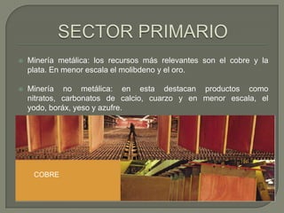 SECTOR PRIMARIOMinería metálica: los recursos más relevantes son el cobre y la plata. En menor escala el molibdeno y el oro. Minería no metálica: en esta destacan productos como nitratos, carbonatos de calcio, cuarzo y en menor escala, el yodo, boráx, yeso y azufre.COBRE