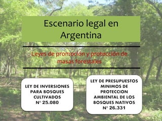 Leyes de promoción y protección de
masas forestales
Escenario legal en
Argentina
 