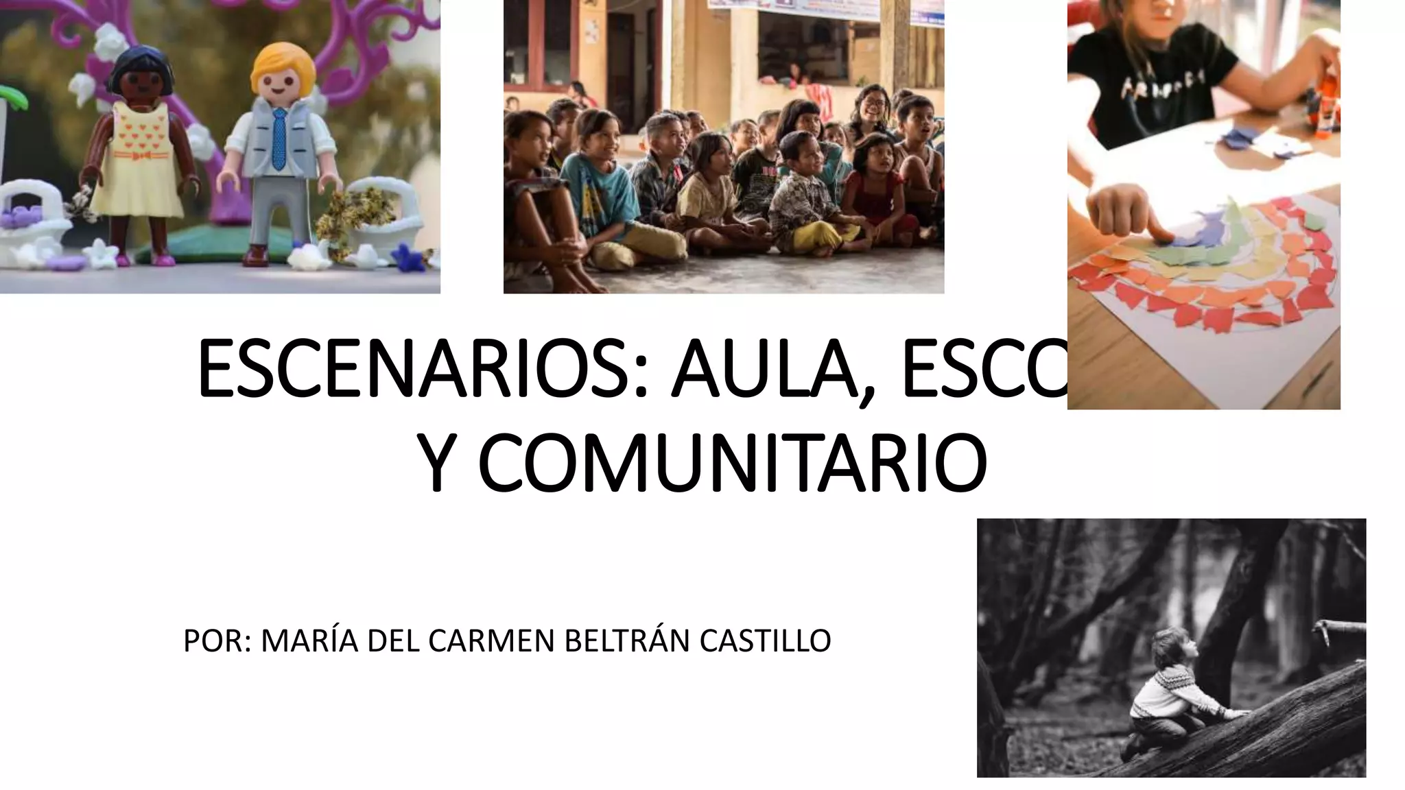 ESCENARIOS PARA APLICAR PROYECTOS-aula, escolar y comunitario. PLAN DE ...