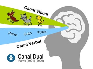 Canal Visual
Canal Verbal
Pollito
GatoPerro
Canal DualPaivio (1991) (2006)
 