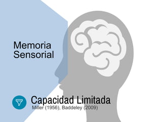 Memoria
Sensorial
Capacidad Limitada
Miller (1956), Baddeley (2009)
 