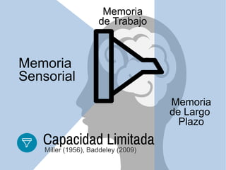 Memoria
Sensorial
Memoria
de Trabajo
Memoria
de Largo
Plazo
Capacidad Limitada
Miller (1956), Baddeley (2009)
 