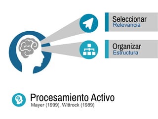 Seleccionar
Organizar
Relevancia
Estructura
Procesamiento Activo
Mayer (1999), Wittrock (1989)
 