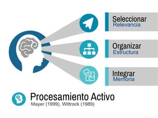Seleccionar
Organizar
Integrar
Relevancia
Estructura
Memoria
Procesamiento Activo
Mayer (1999), Wittrock (1989)
 