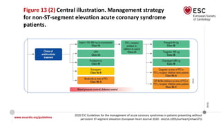 www.escardio.org/guidelines
2020 ESC Guidelines for the management of acute coronary syndromes in patients presenting without
persistent ST-segment elevation (European Heart Journal 2020 - doi/10.1093/eurheartj/ehaa575)
©ESC
Figure 13 (2) Central illustration. Management strategy
for non-ST-segment elevation acute coronary syndrome
patients.
 