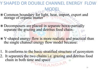 Y SHAPED OR DOUBLE CHANNEL ENERGY FLOW
MODEL
◉Common boundary for light, heat, import, export and
storage of organic matter
◉Decomposers are placed in separate boxtopartially
separate the grazing and detritus food chain.
◉Y shaped energy flow is more realistic and practical than
the single channel energy flow model because:
1. It conforms to the basic stratified structure of ecosystem
2. It separates the two chains i.e. grazing and detritus food
chain in both time and space
20
 