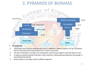 2. PYRAMIDS OF BIOMASS
Top carnivores
Tertiary carnivores Big fish
Frogs, birds,snakes
squirrl, rabbitHerbivores
Carnivores
Carnivores
Herbivores
Small
Insects
Grases
Producers
Producers
Grass land
Pond
• Drawbacks
1. Each trophic level indicates standing crops, which is different in different seasons. For eg, a deciduous
2.
3.
4.
24
tree has more biomass durring spring but less in autumn and winter
Life span of individual is not taken in to consideration, short life span organism may have high turn over
In aquatic ecosystem pyramid of biomass is often inverted in unfavourable periods(winter) and upright in
favourable period (spring)
Biomass differs in its energy content in different organisms
 
