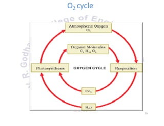 O2 cycle
29
 