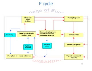 P cycle
32
 