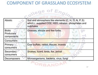 COMPONENT OF GRASSLAND ECOSYSTEM
Abiotic Soil and atmosphere like elements (C, H, O, N. P, S)
which r supplied CO2, H2O, nitrates, phosphates and
sulphates
Biotic
Producers
components
Grasses, shrubs and few forbs
Consumers
Primary
consumers
Cow buffalo, rabbit, mouse, incests
Secondary
consumers
Snakes, lizard, birds, fox, jackal
Decomposers Microorganisms, bacteria, virus, fungi
47
 