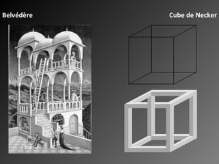 Belvédère Cube de Necker 