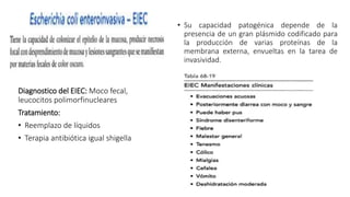 • Su capacidad patogénica depende de la
presencia de un gran plásmido codificado para
la producción de varias proteínas de la
membrana externa, envueltas en la tarea de
invasividad.
Diagnostico del EIEC: Moco fecal,
leucocitos polimorfinucleares
Tratamiento:
• Reemplazo de líquidos
• Terapia antibiótica igual shigella
 