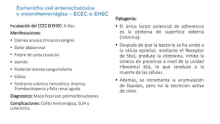 Patogenia:
• El único factor potencial de adherencia
es la proteína de superficie externa
(Intimina).
• Después de que la bacteria se ha unido a
la célula epitelial, mediante el Receptor
de Stx1, produce la citotoxina, inhibe la
síntesis de proteínas a nivel de la unidad
ribosomal 60s, lo que conduce a la
muerte de las células.
• Además, se incrementa la acumulación
de líquidos, pero no la secreción activa
de cloro.
Incubación del ECEC O EHEC: 4 días.
Manifestaciones:
• Diarrea acuosa (inicia sin sangre)
• Dolor abdominal
• Fiebre de corta duración
• Vomito
• Posterior diarrea sanguinolenta
• Cólico
• Síndrome urémico hemolítico: Anemia,
Trombocitopenia y falla renal aguda.
Diagnostico: Moco fecal con polimorfonucleares.
Complicaciones: Colitis hemorrágica, SUH y
colecistitis.
 