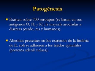 Patogénesis Existen sobre 700 serotipos (se basan en sus antígenos O, H, y K), la mayoría asociadas a diarreas (cerdo, res y humanos). Ahesinas presentes en los extremos de la fimbria de E. coli se adhieren a los tejidos epiteliales (proteína adenil ciclasa). 