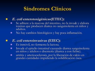 Síndromes Clínicos E. coli  enterotoxigénicas(ETEC):   Se adhiere a la mucosa del intestino, no la invade y elabora toxinas que producen diarrea no sanguinolenta en niños y adultos.  No hay cambios histológicos y hay poca inflamación.  E. coli  enteroinvasivas (EIEC):   Es inmóvil, no fermenta la lactosa.  Invade el epitelio intestinal causando diarrea sanguinolenta en niños y adultos o disentería (diarrea a con fiebre).  artritis y arterioesclerosis, por la liberación de calcio en grandes cantidades impidiendo la solidificación ósea.  