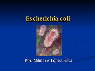 Escherichia coli Por: Milmarie López Silva 