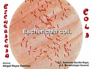 Escherichia coli.
Alumna:
Abigail Reyes Ramírez.
Q.C. Sashenka Bonilla Rojas.
E.E. Microbiología General.
 