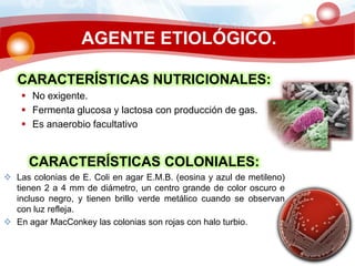 AGENTE ETIOLÓGICO.
CARACTERÍSTICAS NUTRICIONALES:
 No exigente.
 Fermenta glucosa y lactosa con producción de gas.
 Es anaerobio facultativo
CARACTERÍSTICAS COLONIALES:
 Las colonias de E. Coli en agar E.M.B. (eosina y azul de metileno)
tienen 2 a 4 mm de diámetro, un centro grande de color oscuro e
incluso negro, y tienen brillo verde metálico cuando se observan
con luz refleja.
 En agar MacConkey las colonias son rojas con halo turbio.
 