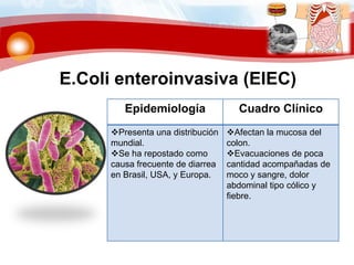 E.Coli enteroinvasiva (EIEC)
Epidemiología Cuadro Clínico
Presenta una distribución
mundial.
Se ha repostado como
causa frecuente de diarrea
en Brasil, USA, y Europa.
Afectan la mucosa del
colon.
Evacuaciones de poca
cantidad acompañadas de
moco y sangre, dolor
abdominal tipo cólico y
fiebre.
 