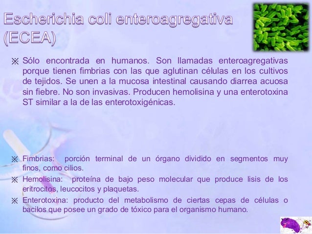 Nikola Tesla en metabolismo de farmacos