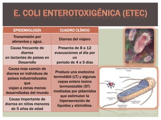 EPIDEMIOLOGÍA

CUADRO CLÍNICO

Transmisión por
alimentos y agua.

Diarrea del viajero

Causa frecuente de
diarrea
en lactantes de países en
Desarrollo

Presenta de 8 a 12
evacuaciones al día por
un
periodo de 4 a 5 días

Causa mas común de
diarrea en individuos de
países industrializados
que
viajan a zonas menos
desarrolladas del mundo
Causa importante de
diarrea en niños menores
de 5 años de edad

Produce una exotoxina
termolábil (LT) y algunas
cepas entero toxina
termoestable (ST)
mediadas por plásmidos
que estimulan la
hipersecreción de
líquidos y elctrolitos.

 