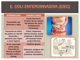 EPIDEMIOLOGÍA

CUADRO CLÍNICO

Transmisión por
alimentos y agua

Causa disentería.
Invasión de las células
del epitelio del colon,
multiplicación
intracelular.

Frecuente en niños
de países en vías de
desarrollo y
personas que viajan
a estos lugares

Fiebre, espasmos,
diarrea acuosa, puede
progresar a disentería
con escasas heces
sanguinolientas

Se ha reportado
como causa
frecuente de
diarrea en Brasil,
Estados unidos y
Europa

Intestino grueso
Adhesina: antígeno del
plásmido invasivo.
Exotoxina: Hemolisina.

 