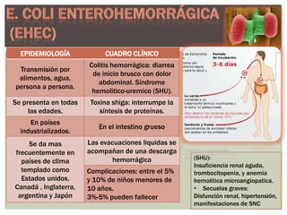 EPIDEMIOLOGÍA

CUADRO CLÍNICO

Transmisión por
alimentos, agua,
persona a persona.

Colitis hemorrágica: diarrea
de inicio brusco con dolor
abdominal. Síndrome
hemolitico-uremico (SHU).

Se presenta en todas
las edades.

Toxina shiga: interrumpe la
síntesis de proteínas.

En países
industrializados.

En el intestino grueso

Se da mas
frecuentemente en
países de clima
templado como
Estados unidos,
Canadá , Inglaterra,
argentina y Japón

Las evacuaciones liquidas se
acompañan de una descarga
hemorrágica
Complicaciones: entre el 5%
y 10% de niños menores de
10 años.
3%-5% pueden fallecer

(SHU):
Insuficiencia renal aguda,
trombocitopenia, y anemia
hemolitica microangiopatica.
• Secuelas graves:
Disfunción renal, hipertensión,
manifestaciones de SNC

 