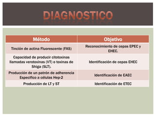Método

Objetivo

Tinción de actina Fluorescente (FAS)

Reconocimiento de cepas EPEC y
EHEC.

Capacidad de producir citotoxinas
llamadas verotoxinas (VT) o toxinas de
Shiga (SLT).

Identificación de cepas EHEC

Producción de un patrón de adherencia
Especifico a células Hep-2

Identificación de EAEC

Producción de LT y ST

Identificación de ETEC

 