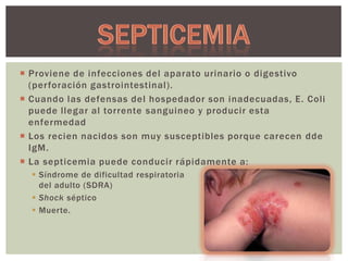  Proviene de infecciones del aparato urinario o digestivo
(perforación gastrointestinal).
 Cuando las defensas del hospedador son inadecuadas, E. Coli
puede llegar al torrente sanguineo y producir esta
enfermedad
 Los recien nacidos son muy susceptibles porque carecen dde
IgM.
 La septicemia puede conducir rápidamente a:
 Síndrome de dificultad respiratoria
del adulto (SDRA)
 Shock séptico
 Muerte.

 