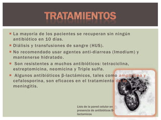  La mayoría de los pacientes se recuperan sin ningún
antibiótico en 10 días.
 Diálisis y transfusiones de sangre ( HUS).
 No recomendado usar agentes anti -diarreas (Imodium) y
mantenerse hidratado.
 Son resistentes a muchos antibióticos: tetraciclina,
estreptomicina, neomicina y Triple sulfa.
 Algunos antibióticos β -lactámicos, tales como ampicilina y
cefalosporina, son eficaces en el tratamiento de la
meningitis.

Lisis de la pared celular en
presencia de antibióticos Blactamicos

 