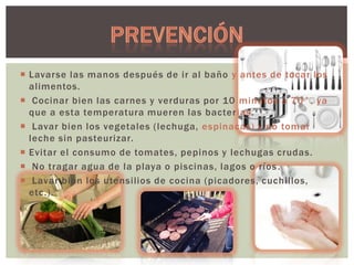  Lavarse las manos después de ir al baño y antes de tocar los
alimentos.
 Cocinar bien las carnes y verduras por 10 minutos a 70°, ya
que a esta temperatura mueren las bacter ias.
 Lavar bien los vegetales (lechuga, espinacas) y no tomar
leche sin pasteurizar.
 Evitar el consumo de tomates, pepinos y lechugas crudas.
 No tragar agua de la playa o piscinas, lagos o ríos .
 Lavar bien los utensilios de cocina (picadores, cuchillos,
etc.).

 