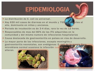  La distribución de E. coli es univer sal .
 Hay 630 mil casos de diarreas en el mundo y 755 mil muer tes al
año, dominante en niños y ancianos .
 Periodo de incubación es de 3 -4 días, rara la vez de 12 horas .
 Responsables de mas del 80% de las ITU adquiridas en la
comunidad y del mismo numero de infecciones hospitalarias
 Causa destacada de gastroenteritis en países en vías de desarrollo.
 La mayor par te de las infecciones, excepto meningitis y
gastroenteritis neonatales, son endógenas: E. coli de la propia flora
microbiana normal ocasiona la infección cuando sus defensas se
alteran.

 