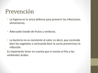 Prevención
• La higiene es la única defensa para prevenir las infecciones
alimentarias.
• Adecuado lavado de frutas y verduras.
• La bacteria no es resistente al calor, es decir, que cociendo
bien los vegetales o cocinando bien la carne prevenimos la
infección.
Es importante tener en cuenta que sí resiste el frío y los
ambientes ácidos.
 