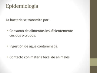 Epidemiología
La bacteria se transmite por:
• Consumo de alimentos insuficientemente
cocidos o crudos.
• Ingestión de agua contaminada.
• Contacto con materia fecal de animales.
 