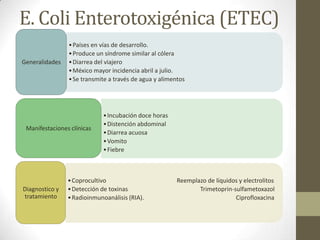 E. Coli Enterotoxigénica (ETEC)
•Países en vías de desarrollo.
•Produce un síndrome similar al cólera
•Diarrea del viajero
•México mayor incidencia abril a julio.
•Se transmite a través de agua y alimentos
Generalidades
•Incubación doce horas
•Distención abdominal
•Diarrea acuosa
•Vomito
•Fiebre
Manifestaciones clínicas
•Coprocultivo Reemplazo de líquidos y electrolitos
•Detección de toxinas Trimetoprin-sulfametoxazol
•Radioinmunoanálisis (RIA). Ciprofloxacina
Diagnostico y
tratamiento
 