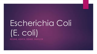 Escherichia Coli
(E. coli)
REGINE, ASHIYA, DENISE, SHAYLOR
 