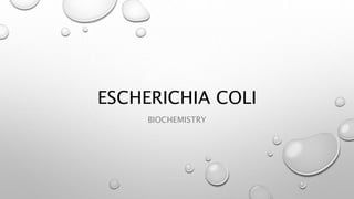ESCHERICHIA COLI
BIOCHEMISTRY
 