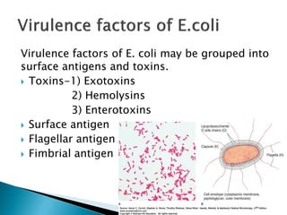 Virulence factors of E. coli may be grouped into
surface antigens and toxins.
 Toxins-1) Exotoxins
2) Hemolysins
3) Enterotoxins
 Surface antigen
 Flagellar antigen
 Fimbrial antigen
 